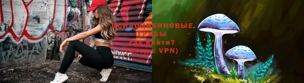 дмт Арсеньев