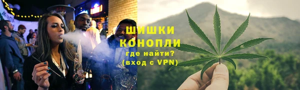 трава Кодинск