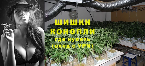 прущие грибы Армянск