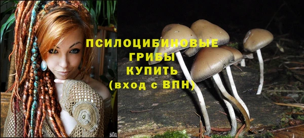 дмт Арсеньев