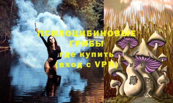 метадон Аркадак
