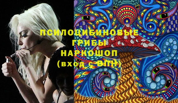 дмт Арсеньев