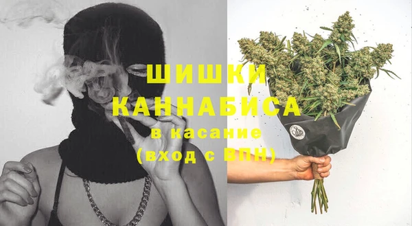 прущие грибы Армянск